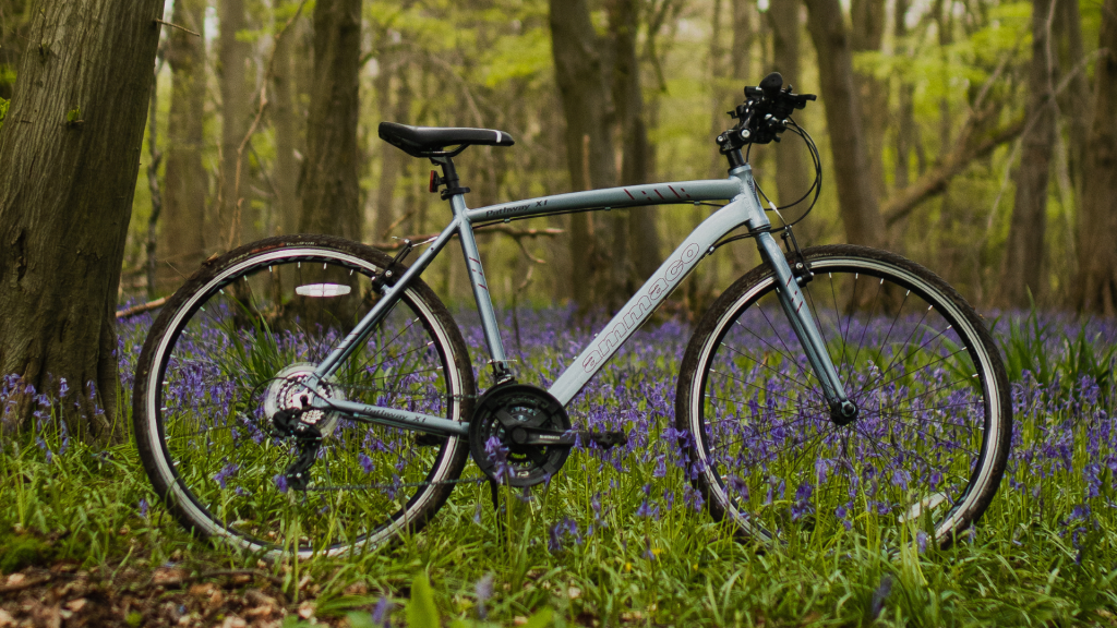 sun cruiser tandem bike