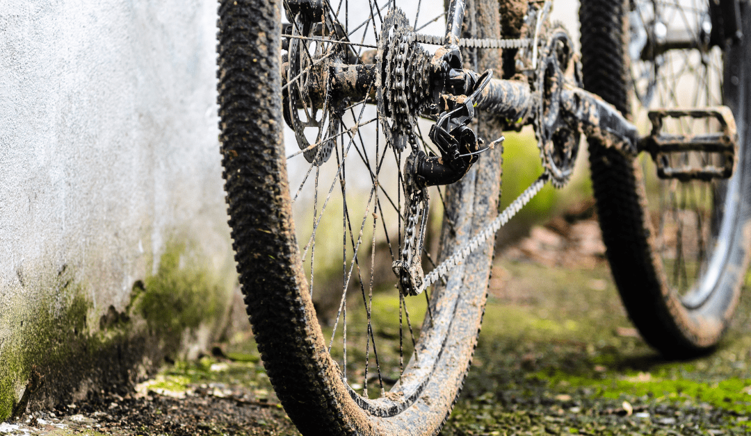 How can I Maintain my Bike during the Autumn and Winter months?